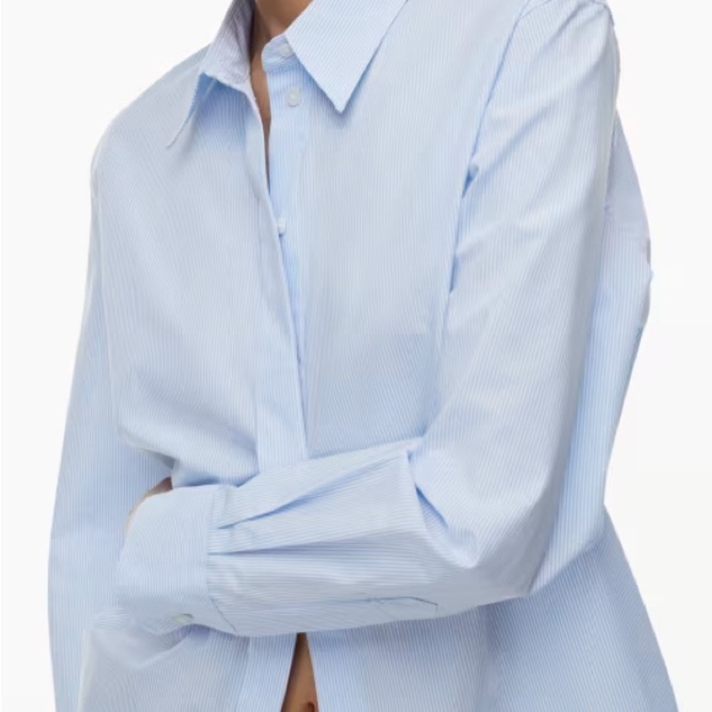 Aritzia Button Down Shirt